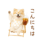 ポジティブな気持ちを伝える☆ポメラニアン（個別スタンプ：10）