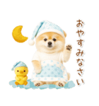 ポジティブな気持ちを伝える☆ポメラニアン（個別スタンプ：12）