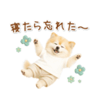 ポジティブな気持ちを伝える☆ポメラニアン（個別スタンプ：15）