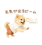 ポジティブな気持ちを伝える☆ポメラニアン（個別スタンプ：16）