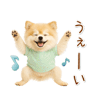 ポジティブな気持ちを伝える☆ポメラニアン（個別スタンプ：19）