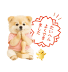ポジティブな気持ちを伝える☆ポメラニアン（個別スタンプ：21）