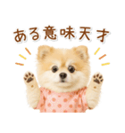 ポジティブな気持ちを伝える☆ポメラニアン（個別スタンプ：22）