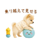 ポジティブな気持ちを伝える☆ポメラニアン（個別スタンプ：25）