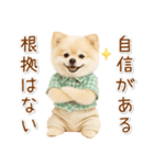 ポジティブな気持ちを伝える☆ポメラニアン（個別スタンプ：26）