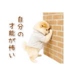 ポジティブな気持ちを伝える☆ポメラニアン（個別スタンプ：27）