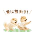 ポジティブな気持ちを伝える☆ポメラニアン（個別スタンプ：28）