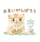 ポジティブな気持ちを伝える☆ポメラニアン（個別スタンプ：30）