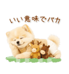 ポジティブな気持ちを伝える☆ポメラニアン（個別スタンプ：39）
