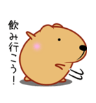 きゃぴばら【お酒大好き】（個別スタンプ：20）