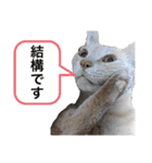 にゃんまるほのぼのスタンプ（個別スタンプ：33）