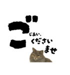 【敬語まじり】リアルねこのやさしいことば（個別スタンプ：6）