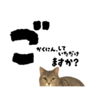 【敬語まじり】リアルねこのやさしいことば（個別スタンプ：8）