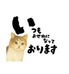 【敬語まじり】リアルねこのやさしいことば（個別スタンプ：19）