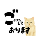 【敬語まじり】リアルねこのやさしいことば（個別スタンプ：21）