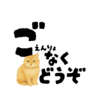 【敬語まじり】リアルねこのやさしいことば（個別スタンプ：24）