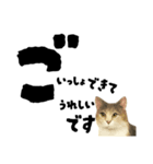 【敬語まじり】リアルねこのやさしいことば（個別スタンプ：29）