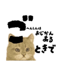 【敬語まじり】リアルねこのやさしいことば（個別スタンプ：32）