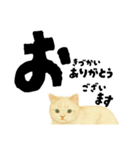 【敬語まじり】リアルねこのやさしいことば（個別スタンプ：39）