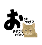 【敬語まじり】リアルねこのやさしいことば（個別スタンプ：40）