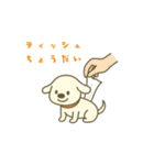 ティッシュケース犬 ポチの日常（個別スタンプ：1）