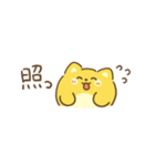 ポメロニアン まる2（よく つかう ことば）（個別スタンプ：15）