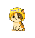 フルーツねこ（個別スタンプ：10）