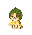 フルーツねこ（個別スタンプ：13）