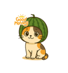 フルーツねこ（個別スタンプ：14）