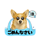 『コーギー』のスタンプ（個別スタンプ：7）