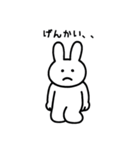 傷病うさぎ（個別スタンプ：16）