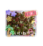 癒やし植物スタンプ（個別スタンプ：11）