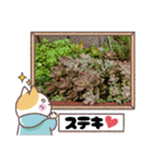 癒やし植物スタンプ（個別スタンプ：15）