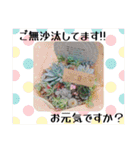 癒やし植物スタンプ（個別スタンプ：21）