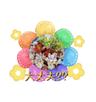 癒やし植物スタンプ（個別スタンプ：31）