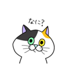 ねこすき:) （一言返信）（個別スタンプ：9）
