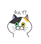 ねこすき:) （一言返信）（個別スタンプ：10）