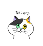 ねこすき:) （一言返信）（個別スタンプ：11）