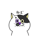 ねこすき:) （一言返信）（個別スタンプ：22）