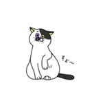 ねこすき:) （一言返信）（個別スタンプ：38）