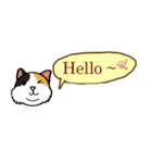 ジョー＆フレンズ テキストメッセージ ENG（個別スタンプ：1）