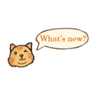 ジョー＆フレンズ テキストメッセージ ENG（個別スタンプ：6）