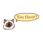 ジョー＆フレンズ テキストメッセージ ENG（個別スタンプ：9）