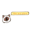 ジョー＆フレンズ テキストメッセージ ENG（個別スタンプ：15）