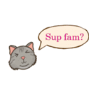 ジョー＆フレンズ テキストメッセージ ENG（個別スタンプ：25）