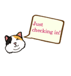 ジョー＆フレンズ テキストメッセージ ENG（個別スタンプ：27）