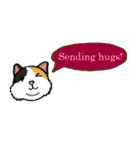 ジョー＆フレンズ テキストメッセージ ENG（個別スタンプ：34）