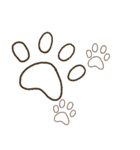 ジョー＆フレンズ テキストメッセージ ENG（個別スタンプ：39）