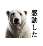 【感情表現】ダークマ（個別スタンプ：3）