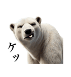 【感情表現】ダークマ（個別スタンプ：31）